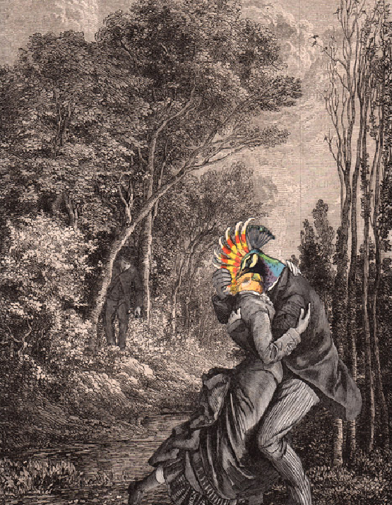 cover-image