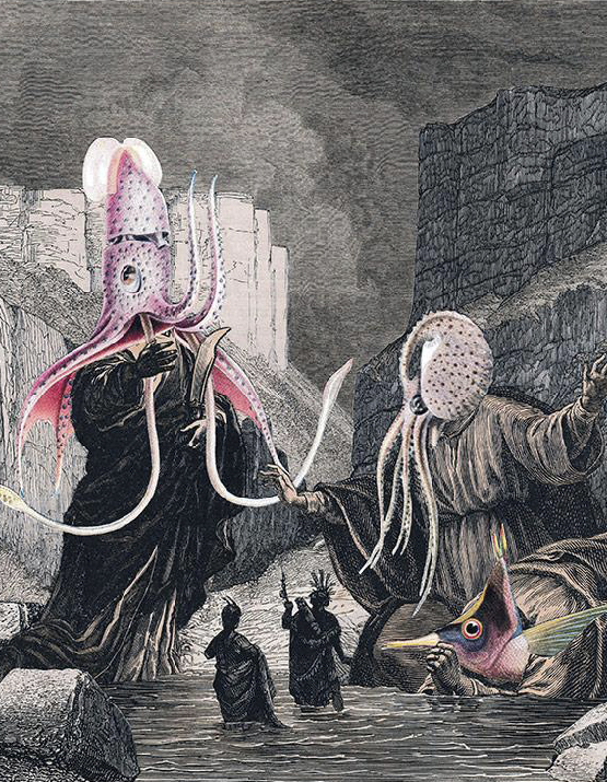 cover-image